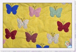 Butterfly Delight * Butterfly Delight * (8 Slides)